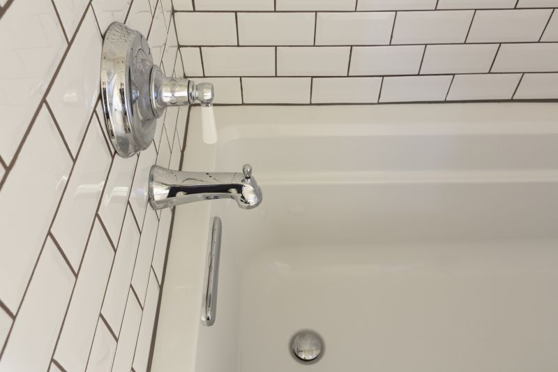 Senior Bathing Solutions detail